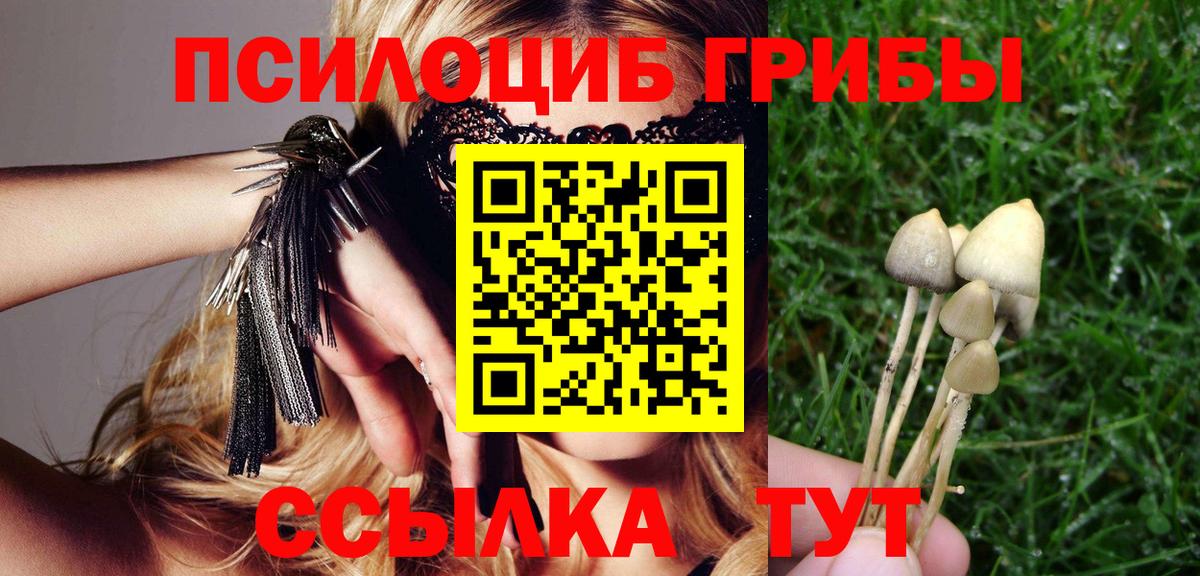 Орск  закладка  Вход с VPN  Псилоцибиновые грибы Psilocybine cubensis  Псилоцибиновые грибы Psilocybe 